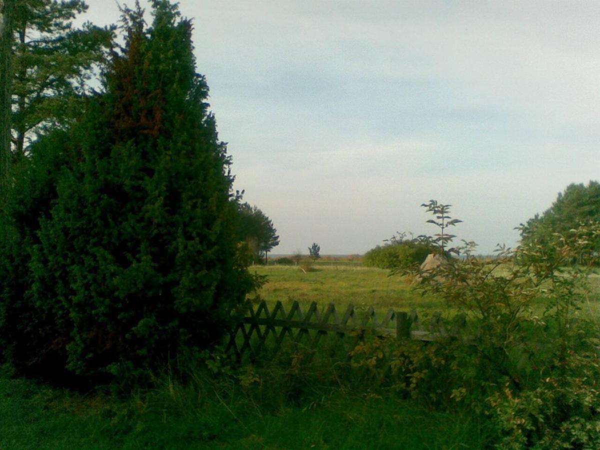 Nurme Cottage in Mahu village Exteriör bild